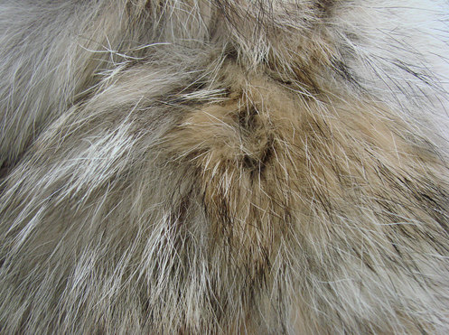 fur1