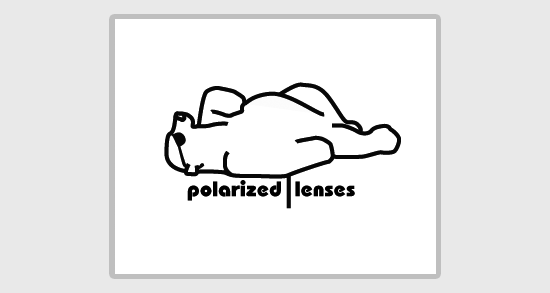polarized-lenses